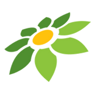 TWITTER DOODSTREAM